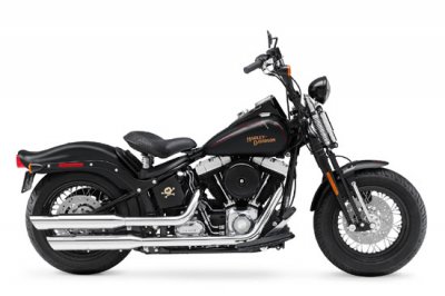 motocykl Harley-Davidson FLSTSB SOFTAIL CROSS BONES 2009 (1)