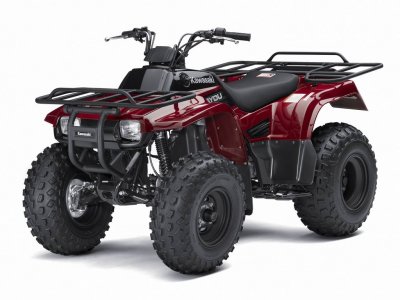 motocykl Kawasaki BAYOU 250 2010 (1)