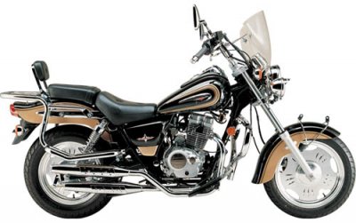 motocykl Dayang DY125-27.12 2008 (1)