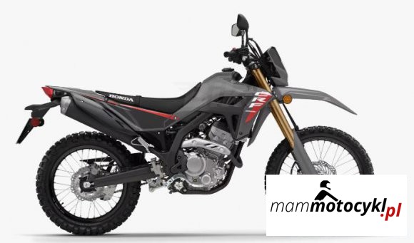 motocykl Honda CRF300LS 2025 (1)